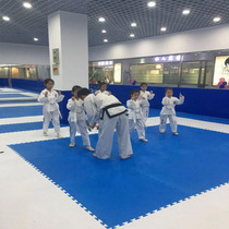 Taekwondo Sanda special floor naughty Castle environmental protection floor mat household children anti-drop mat baby crawling mat