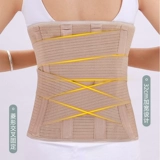 Торакальный поясничный позвоночник Фиксированные ветви талии вниз после пояса, ребра поясной талии, сжатый перелом талии, медицинское расширение окружности талии.