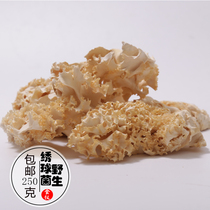 Embroideococcal dry goods embroidered ball mushrooms Yunnan bacteria speciproduce Non-wild bacteria Embroidered Cocci Mushroom Dried Mushrooms 250g