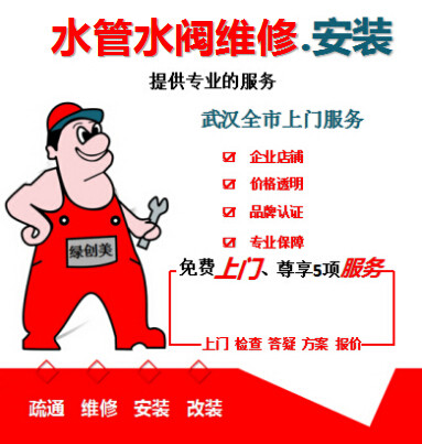 Wuhan bathtub maintenance shower shower shower repair installation mixed water hot and hot tap maintenance upper door service-Taobao