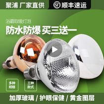 Bathroom bulb heating 275w lighting source waterproof and explosion-proof three-in-one bathroom e27 bulb toilet