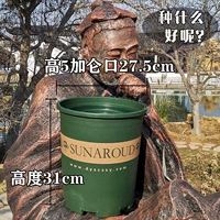 Гао Крюн № 5 Нет доверия