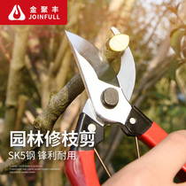 Pruning tree shears garden fruit gardening scissors flower scissors household scissors fruit tree plants bonsai pruning flower scissors tool