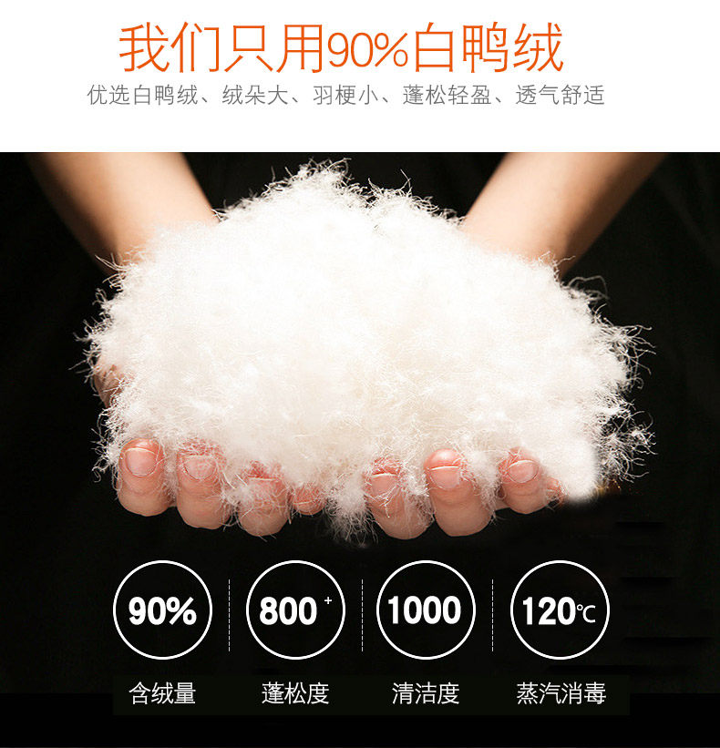 Blouson homme LANG TUNE - Ref 3122106 Image 13