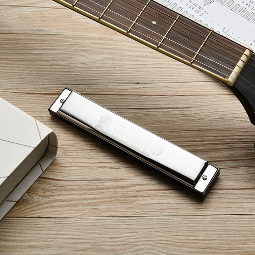 Губная гармошка для взрослых, профессиональная практика для школьников, Германия