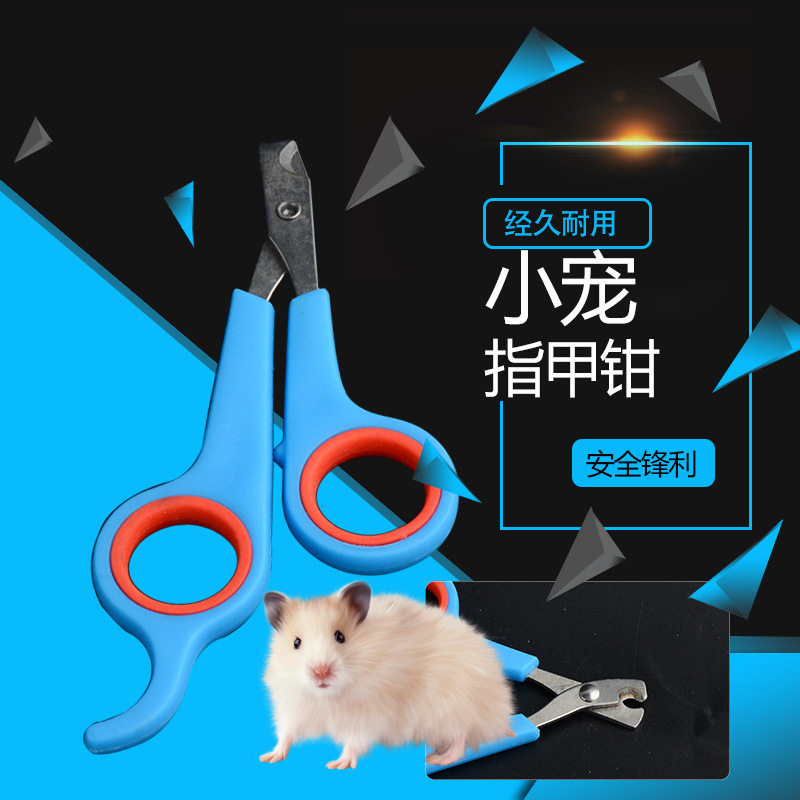 Small pet nail cut nail knife guinea pig rabbit Dutch pig hamster nail cut care set
