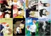 Natsume Friends Account Poster Hình nền Anime Ngoại vi Giáo viên Mèo HD Quá khổ Ký túc xá Tường Sticker - Carton / Hoạt hình liên quan Carton / Hoạt hình liên quan