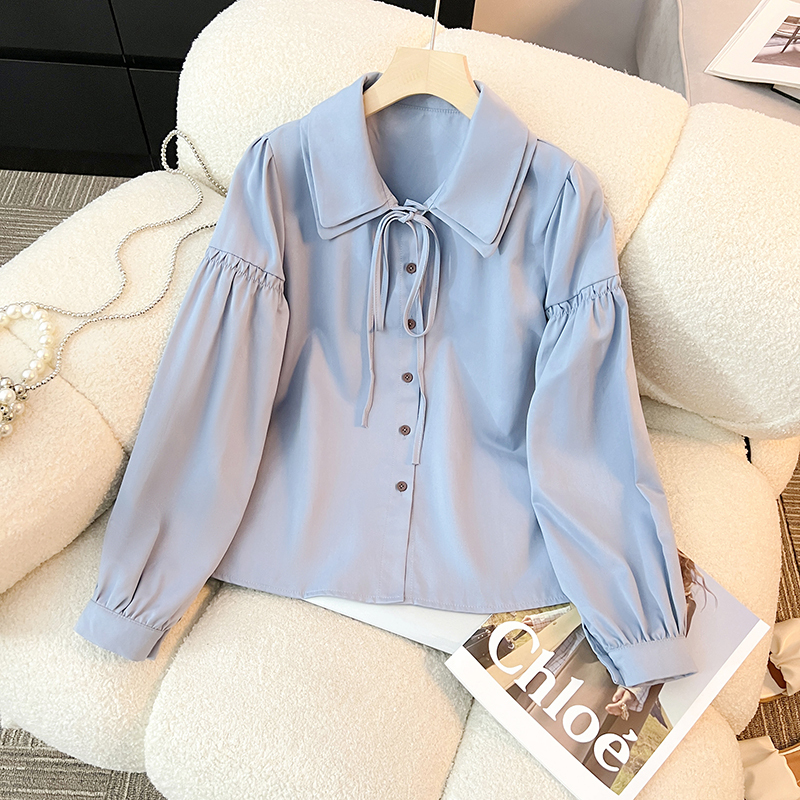 Double-Layer Lapel Long-Sleeved Chiffon Shirt for Women, Spring 2024 New Style Women's Shirt with Bow, Fashionable Top
