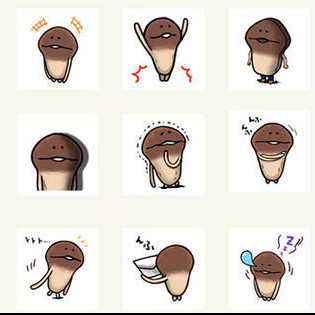 American origins pleasing wood source mushroom water soothing moisturizing and acne closed regulation water oil balance 200ml