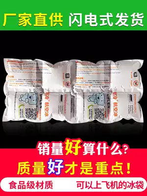 Chuangleng Technology aviation ice bag fresh-keeping express special refrigerated small self-absorbent seafood and aquatic hairy crab ice bag