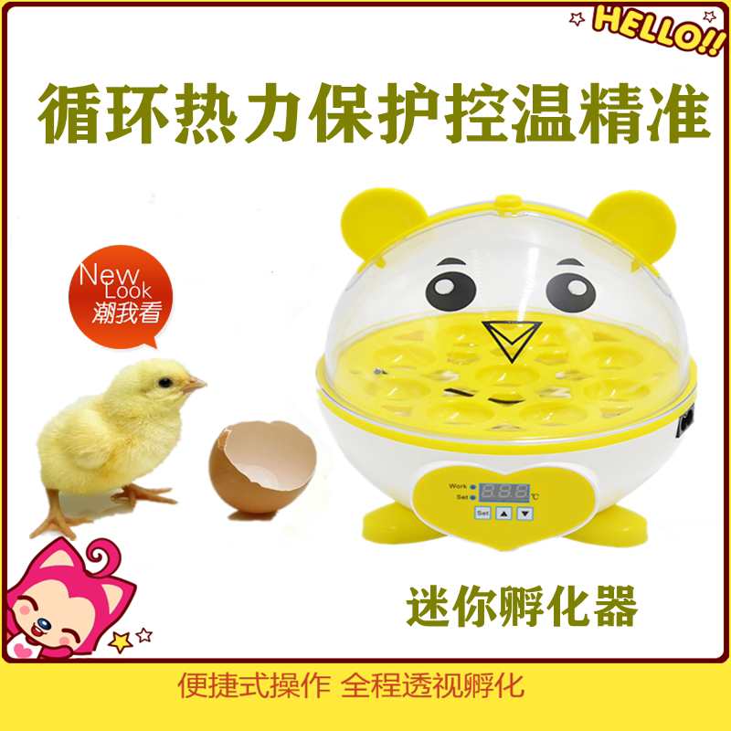 Small household incubator fully automatic intelligent mini egg incubator breeding chick bird egg children egg incubator machine