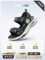 Модель обновления/0917 Черно -зеленый [Волшебное лето]