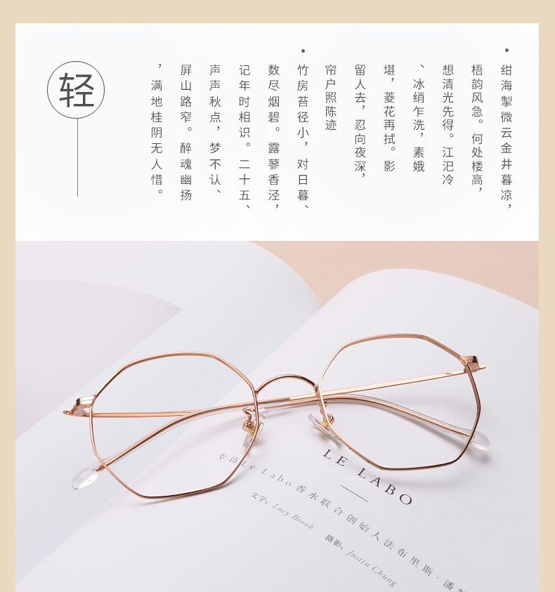 Montures de lunettes en Alliage cuivre-nickel - Ref 3141800 Image 8
