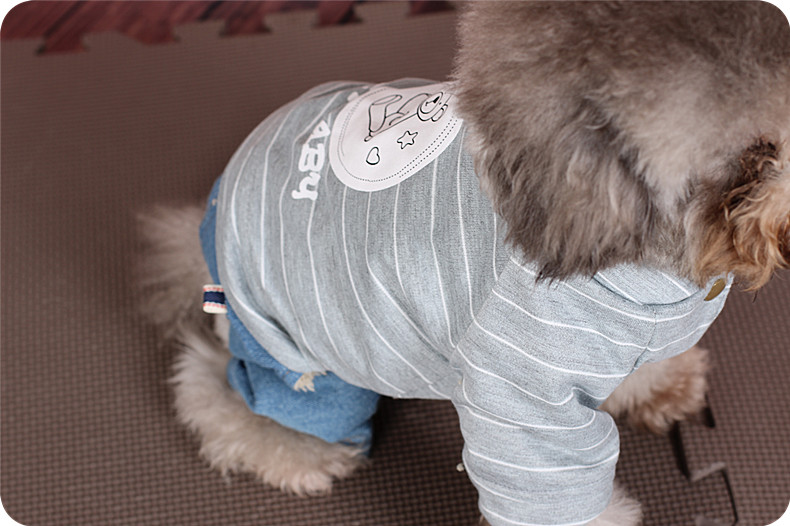 Pet Teddy quần áo chó quần áo mùa thu và mùa đông VIP hơn gấu con chó nhỏ schnauzer mèo Keji bốn chân - Quần áo & phụ kiện thú cưng áo mèo