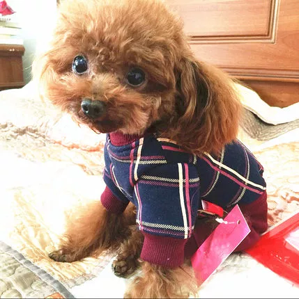 Собачья одежда плюшевая осень и зимняя щенка кошачья домашняя одежда VIPS, а не медведя Corgi четырехдубленная одежда для хлопчатобумажной одежды