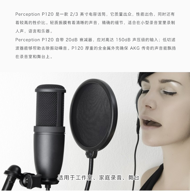 AKG tình yêu công nghệ P120 neo chuyên nghiệp micro thu âm micro máy tính k bài hát thiết bị nhạc cụ - Nhạc cụ MIDI / Nhạc kỹ thuật số mic asmr