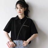 2023  鏂   镞ョ 镞ョ ﹂﹂ 櫌椋 悗 屽 崱 阃 阃 妗 炕 嗛 粦 粦 粦 粦 琚 朤 コ 涧 瀛 瀛 ︾ ︾ ︾ ︾ ︾