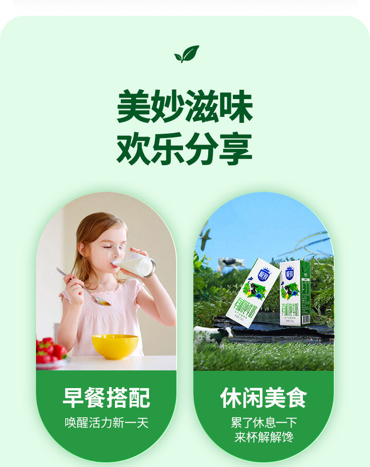 安享好物 安享A级纯奶-三元有机纯牛奶 国标