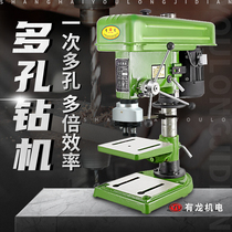 Double-head drilling machine CNC industrial bench drill bench-type drilling and tapping dual-purpose multi-head tapping machine adjustable multi-axis dual-axis drilling machine