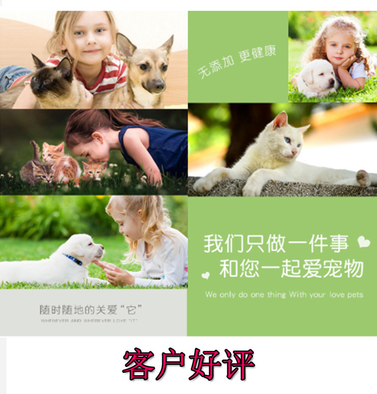 Pet sữa bột sữa dê đóng gói 5 kg chó con mèo con mèo vàng lông sữa bột phổ quát cho con bú sữa bột mèo - Cat / Dog Health bổ sung Sữa dành cho chó trưởng thành