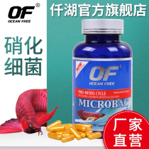 Qianhu Matt Beluga Ornamental fish Nitrifying probiotics Tropical fish Aquarium purification Fish tank Nitrifying bacteria Water purification