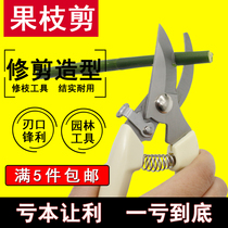 Pruning tree shears garden fruit branches gardening scissors flower shears fruit trees plant pruning pruning 7 inches
