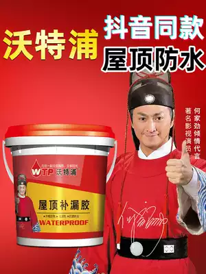 Waterpool waterproof coating exterior wall repair king crack surface sunscreen outdoor paint transparent glue with water roof repair glue