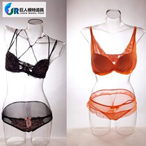 3D three-dimensional transparent model Hollow shooting model props full body half man and woman dummy PC environmental transparent model