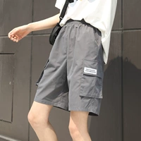 Светлые светильники [одиночная установка]