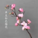 Mô phỏng đơn mận đỏ trang trí hoa giả hoa giả hoa nhựa phong cách Trung Quốc phòng khách mận đỏ trang trí đạo cụ múa - Hoa nhân tạo / Cây / Trái cây cây xương rồng giả