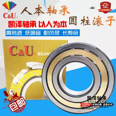 Human-centered cylindrical roller bearing N NJ NU312 313 314 315 316 317 318EM C3