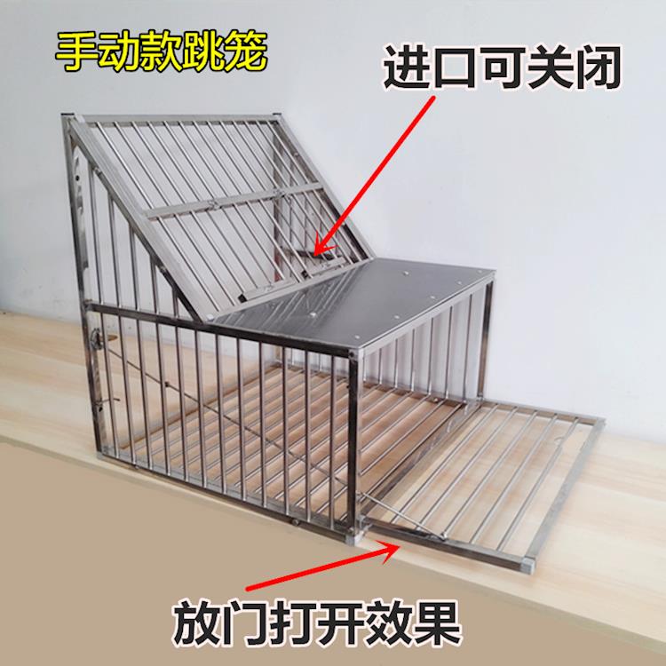 Jin Yuwang lồng nhảy bằng thép không gỉ, lồng bay, chim bồ câu tự động, cửa bay, cửa va chạm, thiết bị chim bồ câu đua, cửa nhảy - Chim & Chăm sóc chim Supplies thức ăn cho chim trĩ