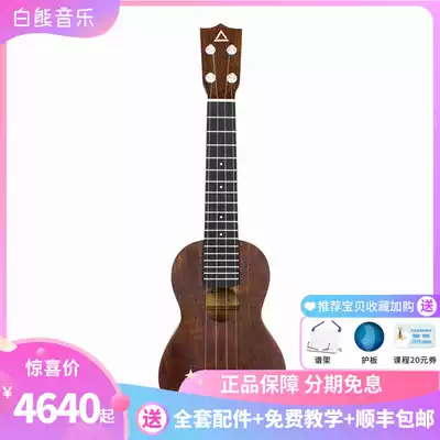 White Bear Music ACE HM1 ukulele 21 inch Honduran mahogany wood full veneer ukulele small guitar