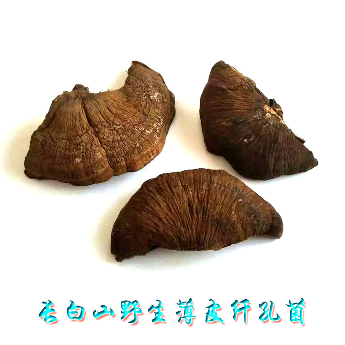 Long white Mountain wild thin skin Lucid Peel Fiber Pore Fungus Rare Pinhole Bacteria Thin pileback bacteria 500 gr