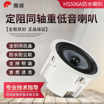 Hivi Huawei HS506A In-Ceiling Horn Set Custom Waterproof Broadcast Skylight Ceiling Sound