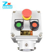 Explosion-proof button operation column Explosion-proof distribution box custom-made Explosion-proof box B Explosion-proof control box Z Wiring box L
