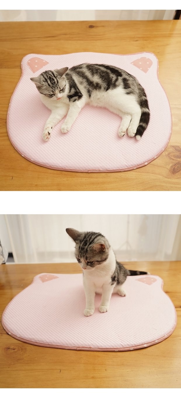[Đầu mèo dễ thương] Summer Pet Mat Mat Mat Dog Mat Round Cat dành riêng cho mèo Mat mùa hè - Cat / Dog hàng ngày Neccessities 	bát ăn inox cho chó	