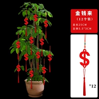 Бархат [деньги идут] 12 пин