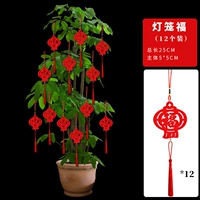 Бархат [благословение фонаря] 12 личные