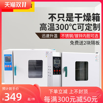 photoelectric thermostatic blast drying oven high-temperature drying oven laboratory industrial oven small aging oven