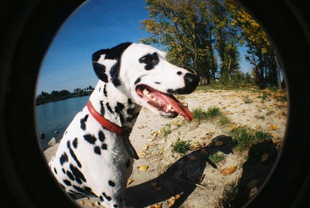 LOMO retro máy ảnh Fisheye Một Tất Cả Đen fisheye thế hệ siêu góc rộng phiên bản màu đen