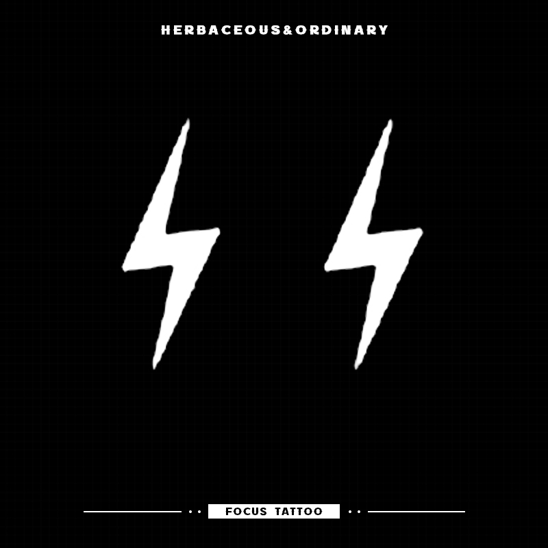 European and American High Street Trendy Behind-The-Ear Wrist Washable Anti-Scratch Non-Fading Lightning Herbal Tattoo Stickers Small Pattern Non-Reflective