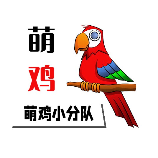 萌鸡小分队
