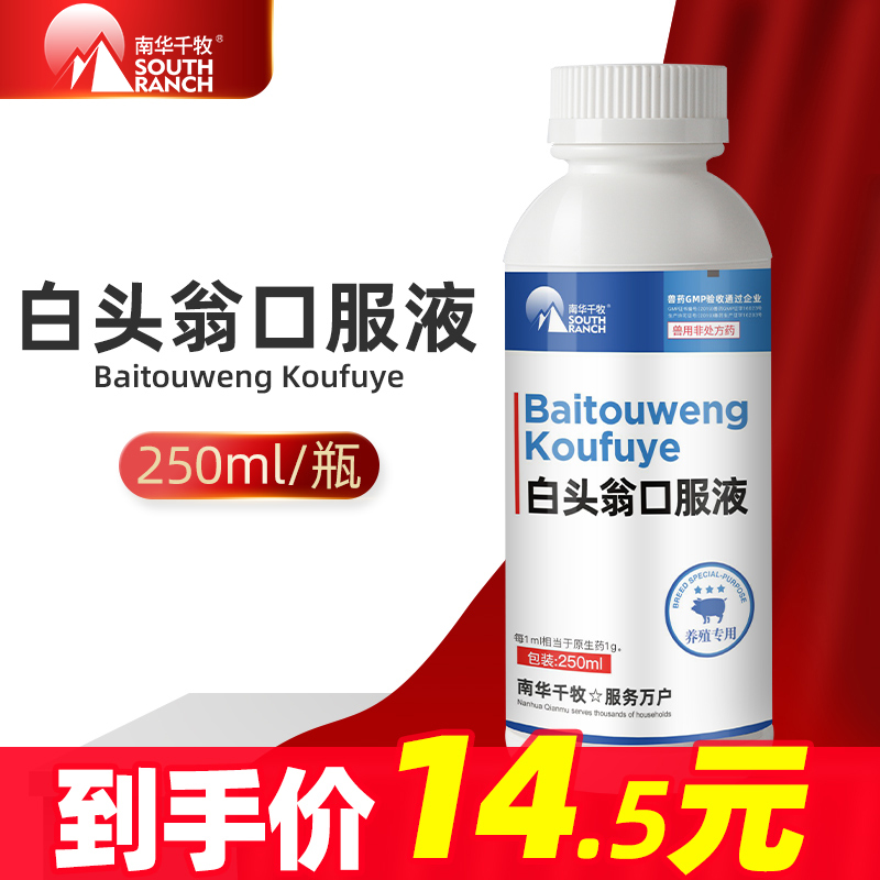 Veterinary medicine veterinary Pulsatilla oral liquid Pulsatilla scatter to stop dysentery pig cattle sheep poultry chicken medicine Escherichia coli dysentery diarrhea