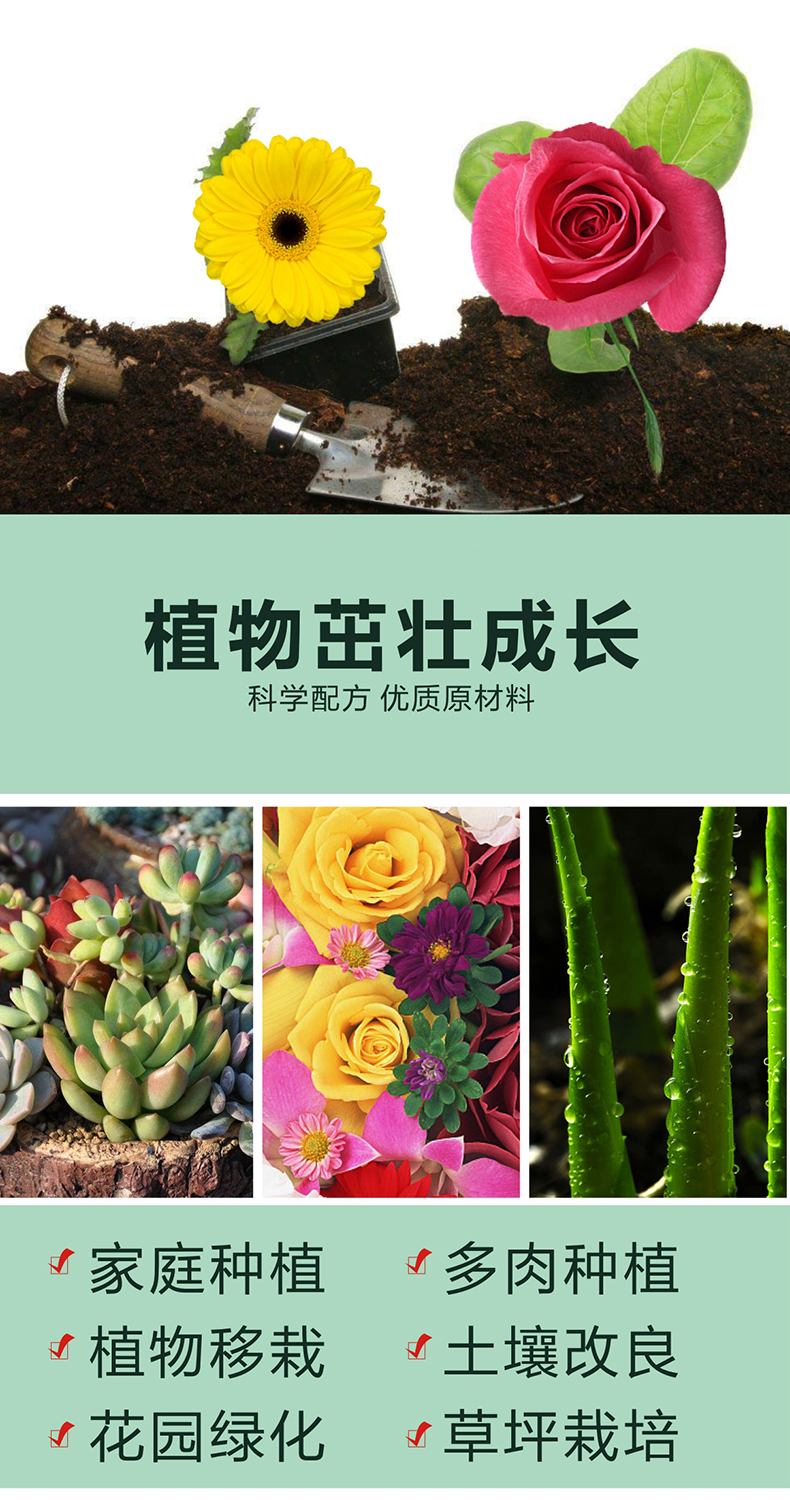 Đất dinh dưỡng hữu cơ trong chậu trồng cây củ cải xanh gia đình phổ quát nhân giống làm vườn Trồng đất làm vườn cung cấp chậu trồng rau