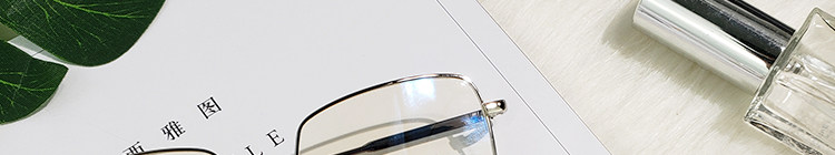 Montures de lunettes en Metal memoire - Ref 3140501 Image 25