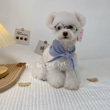 Ins собака собака шарф плюшевый медведь медвежь