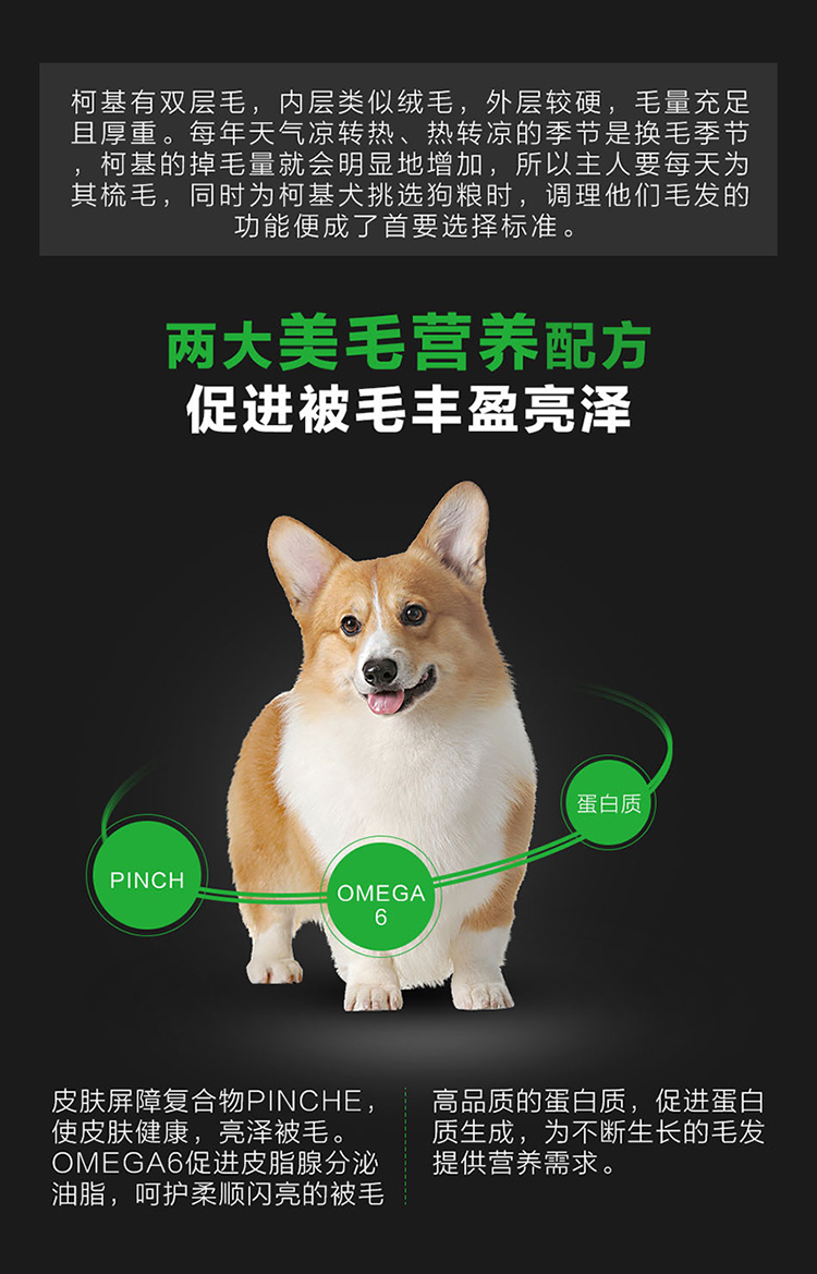 Thú cưng thức ăn cho chó tự nhiên Chó Corgi Lông vàng Labrador Samoyed nguyên chất thịt bò tự nhiên hương vị hạt nhỏ thức ăn cho chó - Chó Staples thức an cho chó bao 20kg