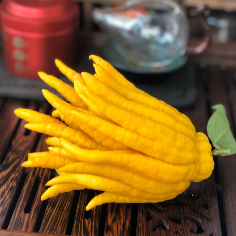 Fresh Jinhua buddha hand Buddha hand green fruit bergamot ornamental clear water supply and cultivation placement
