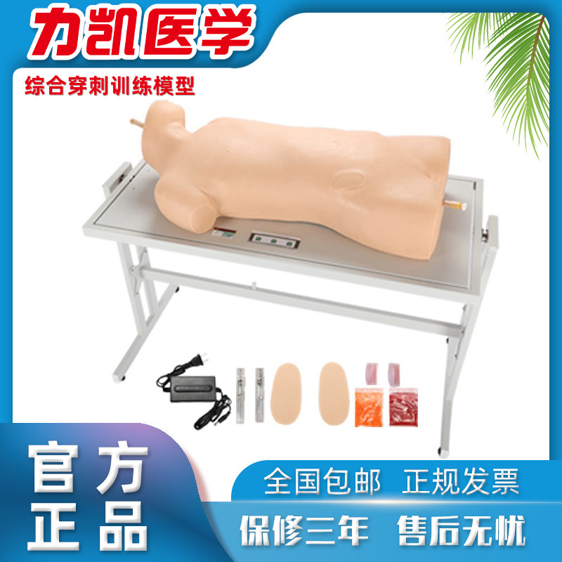CK810综合穿刺训练模型腹部叩诊检查胸膜腔积水心内注射教学模拟